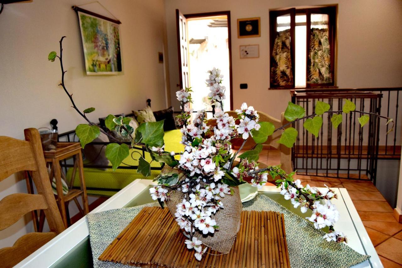 Domunua Holiday House チェファル エクステリア 写真